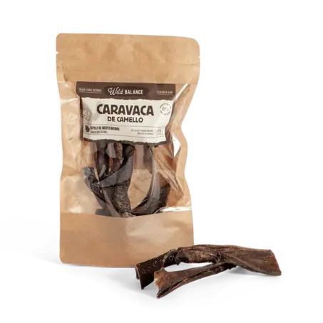 CARAVACA DE CAMELLO